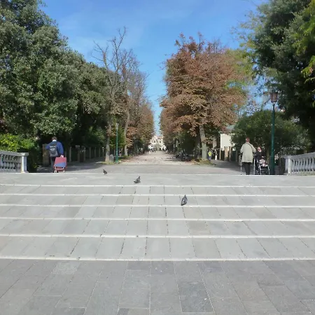 Olivolo