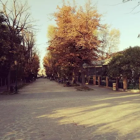 Olivolo *